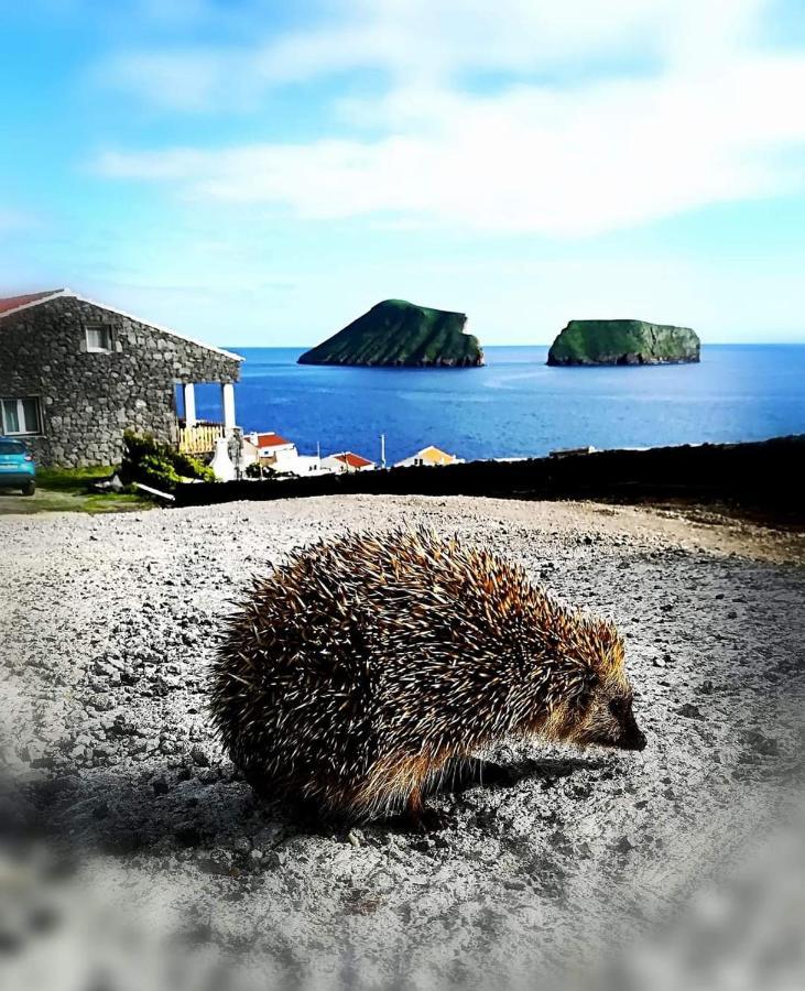 Breathe Nature - Beach House Azores Feteira  Εξωτερικό φωτογραφία